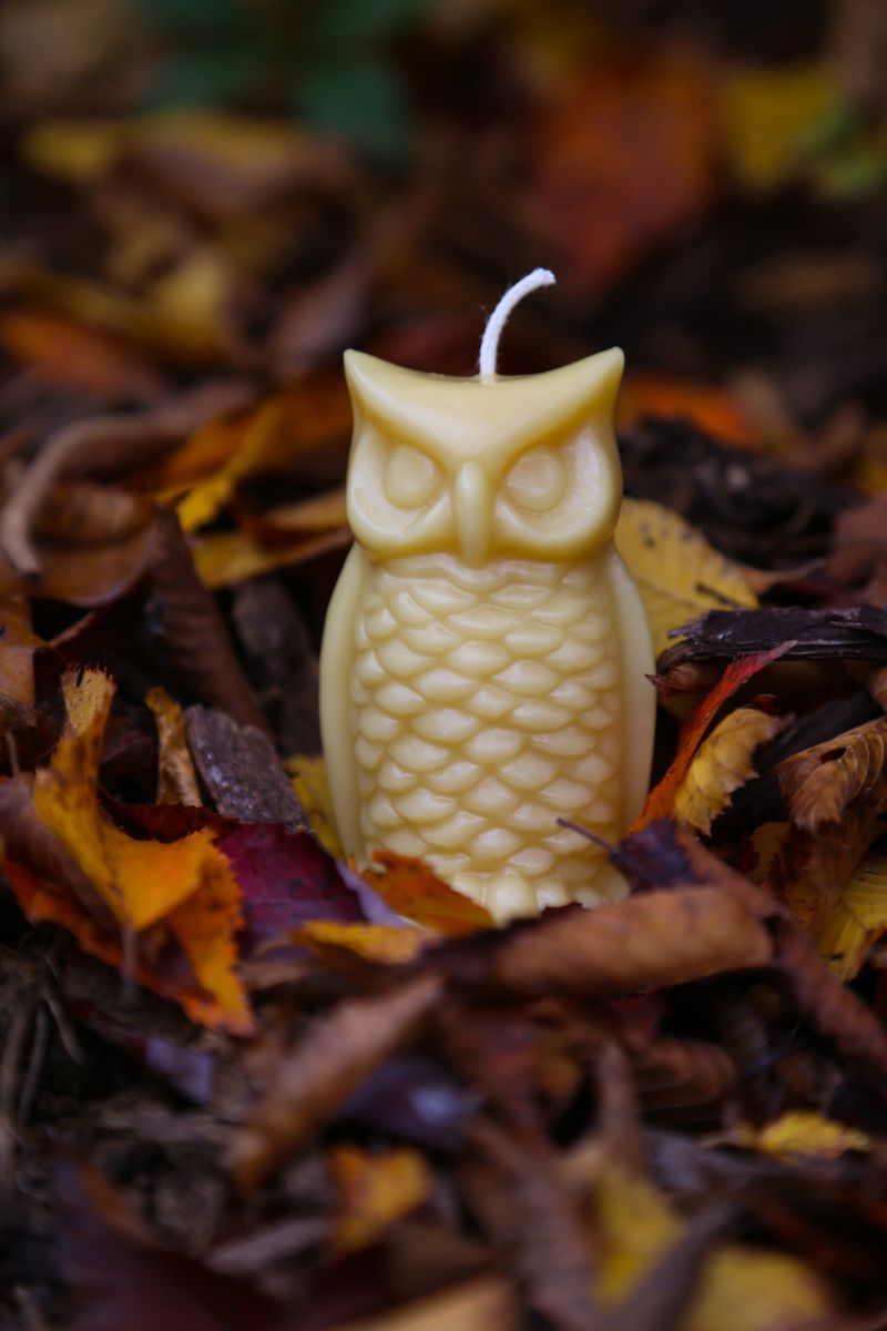 Unfiltered Raw Beeswax Bar -1lb