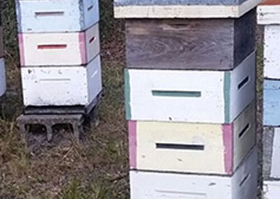 several beehive stacks
