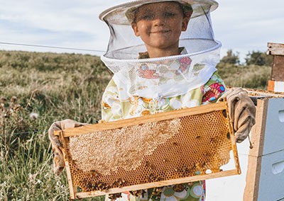 Young Kid Holding Honey Comb